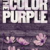 The Color Purple