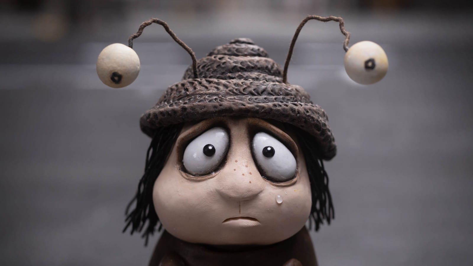 Mémoires d’un escargot