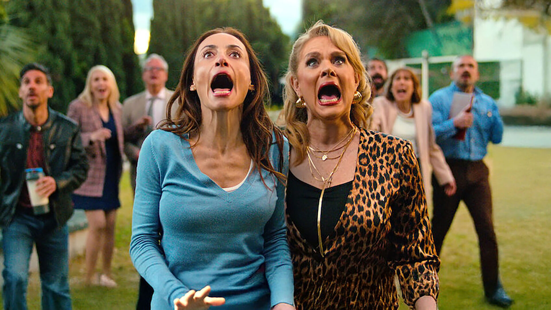 Bienvenidos a la familia - Netflix