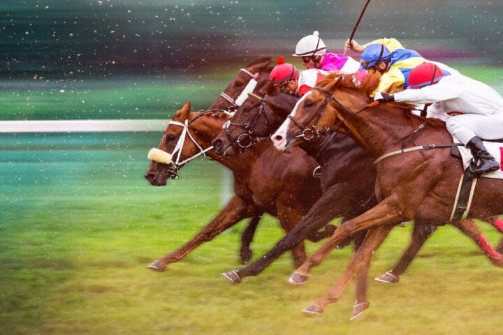 Race For The Crown : La gloire au galop - Netflix