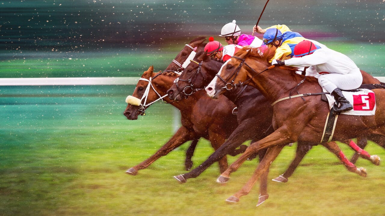 Race For The Crown : La gloire au galop - Netflix