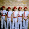 DEVO : Pop, rock et régression