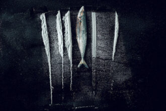 Pêche interdite : L'histoire surréaliste de Rabo de Peixe