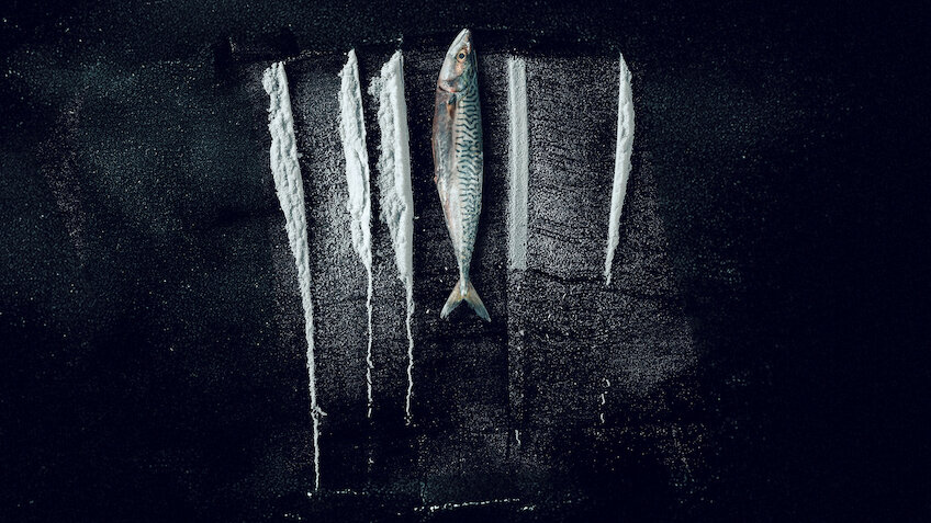 Pêche interdite : L'histoire surréaliste de Rabo de Peixe